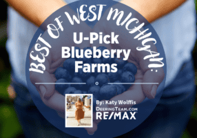 Blueberry farms blog cover