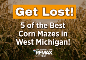 Corn mazes blog cover