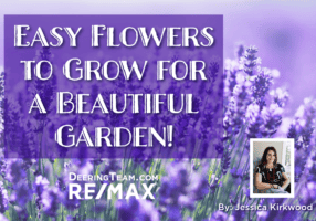 Easy to grow flowers