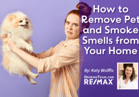 Eliminating Pet odors blog cover